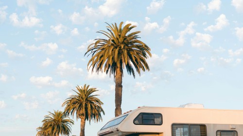 Travel Vehicles (Campervans)