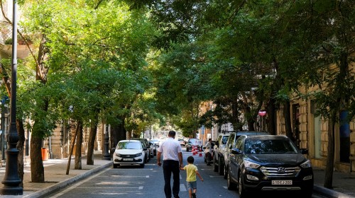 Traveling with Kids in Cars